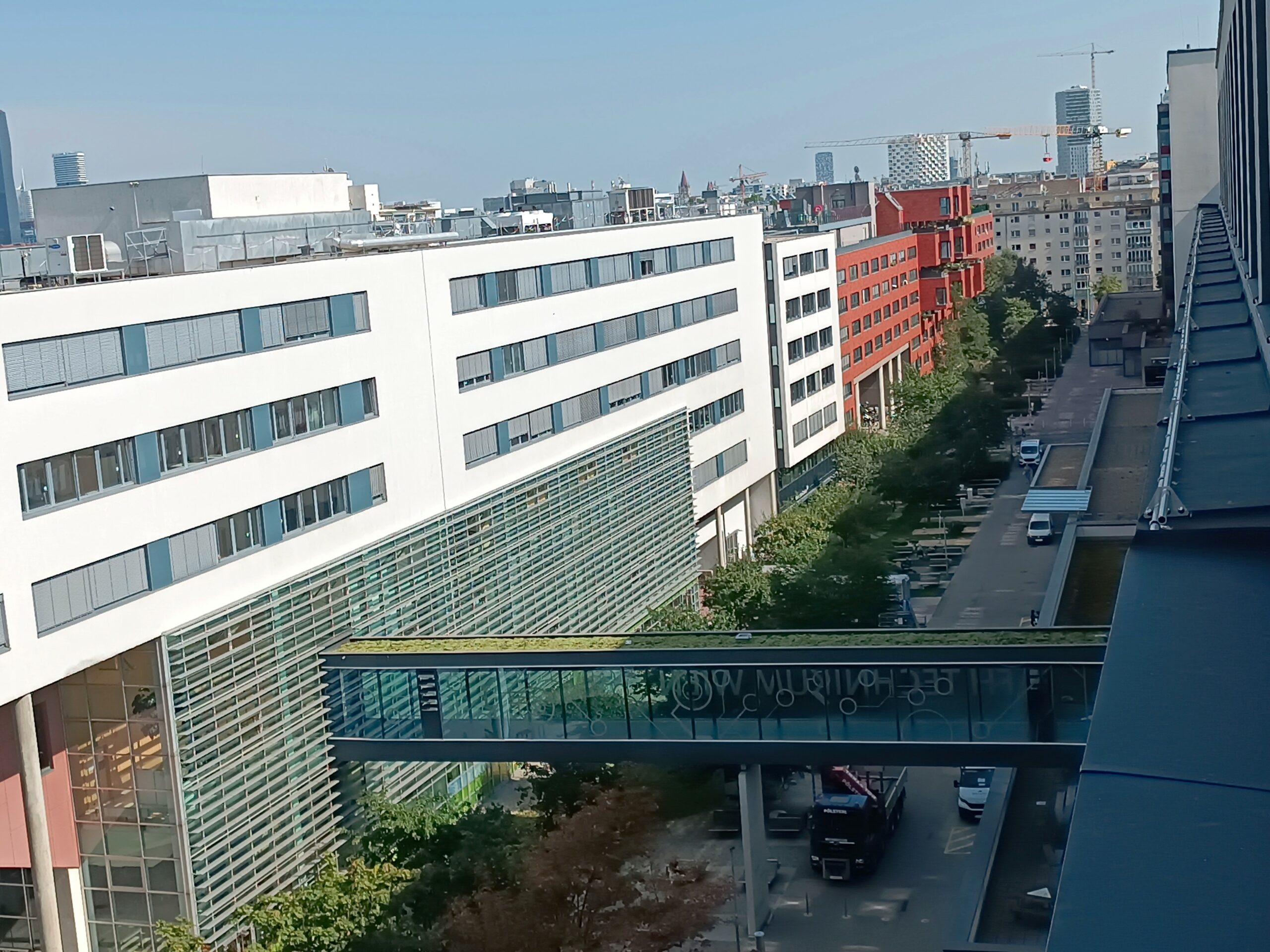 Dachbegrünung extensiv, Wien