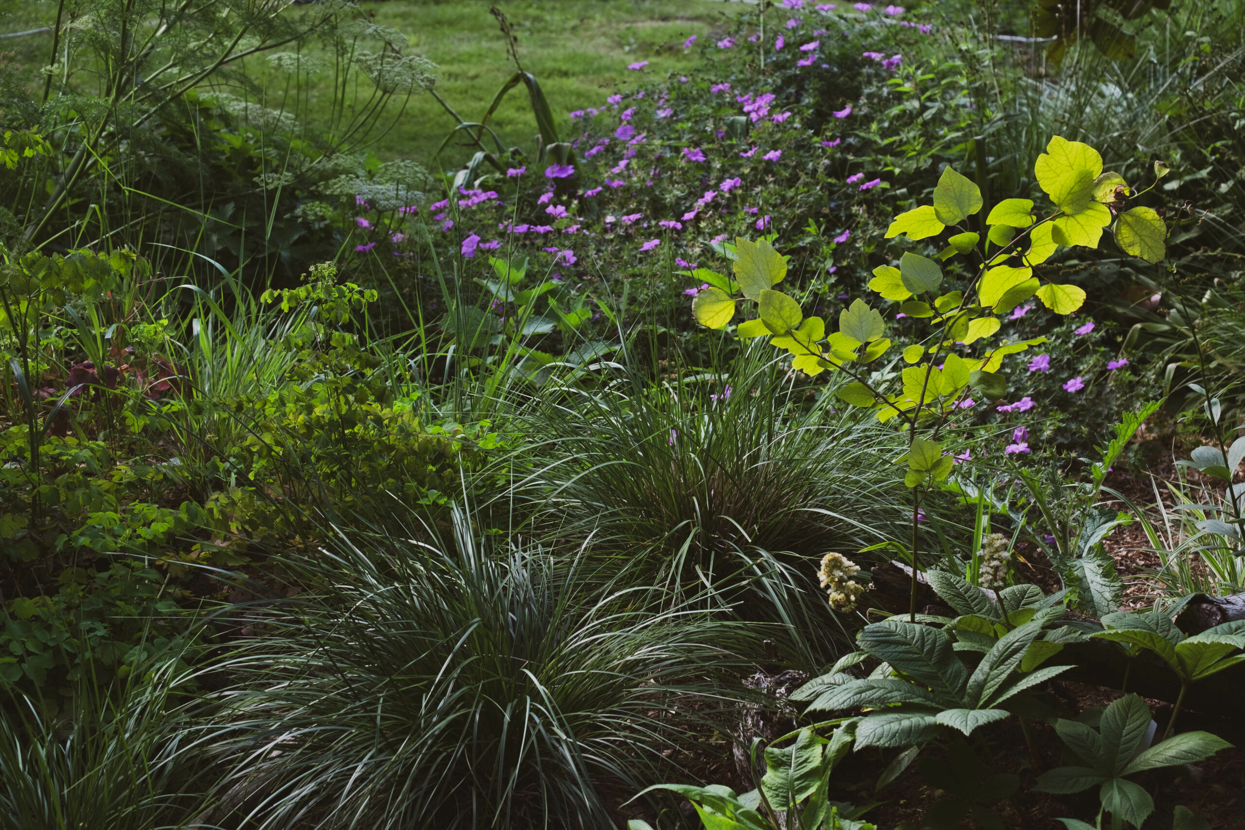 Hausgarten St. Pölten