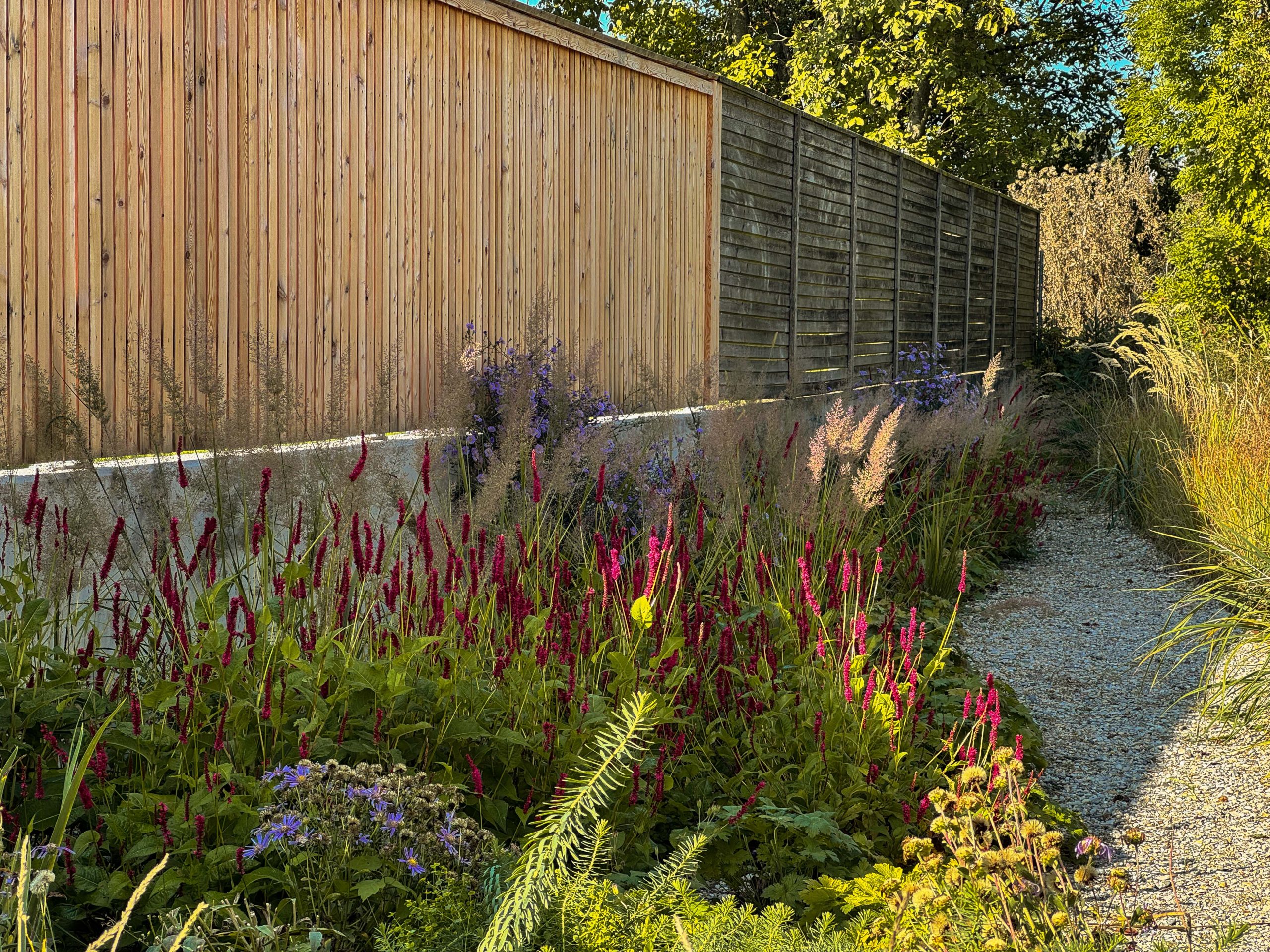 Holzzaun & Pflanzung